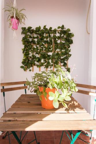 Apartamento Cielos 57