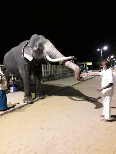 Bed & Breakfast Bonhomous Bentota