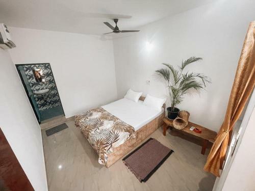 Hostal Deshu's Little Italy