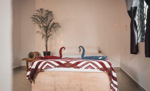 Hostal Deshu's Little Italy