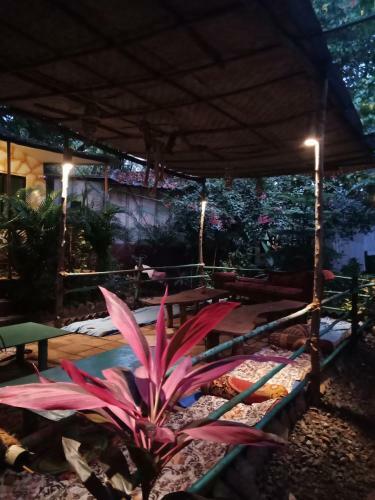 Lodge Casa Courtyard