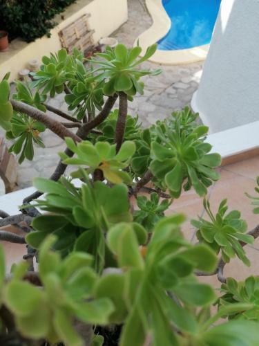 Apartamento Bellavista I