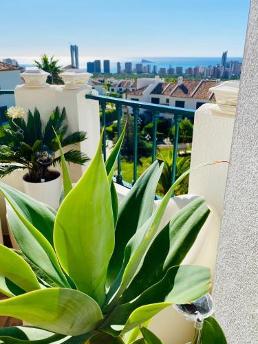 Apartamento Balcon de Sierra Cortina! Panoramic Sea View !