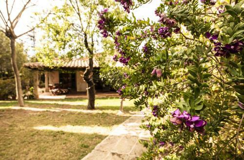 Apartamento Sa Posada D'aumallia