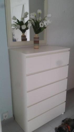 L�estartit, Estudio En Primera Linea de Mar.