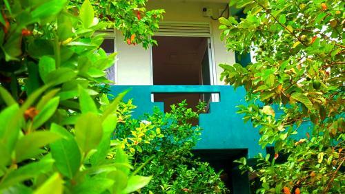 Hostal Villa Dragon House