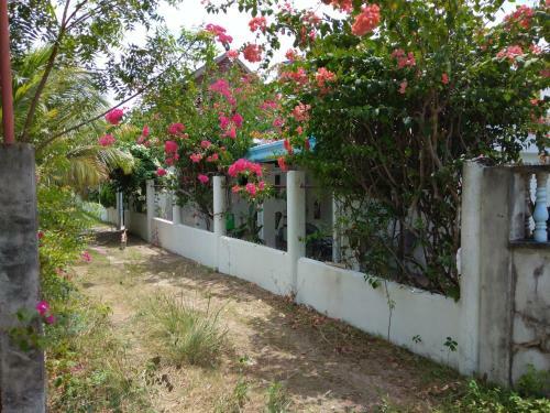 S&j Homestay