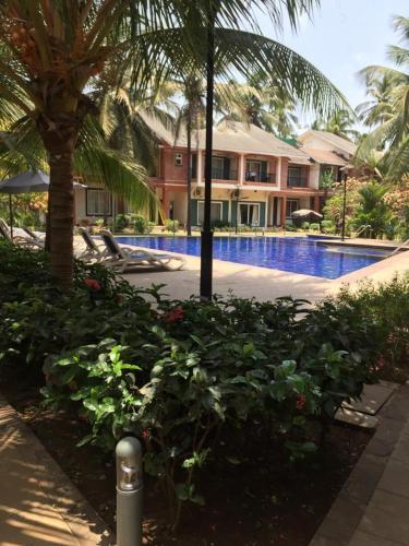 Stunning Cosy Apartment For 2 In Arpora Goa