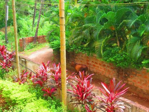 14) Very Modern Furnished Serviced Apartment