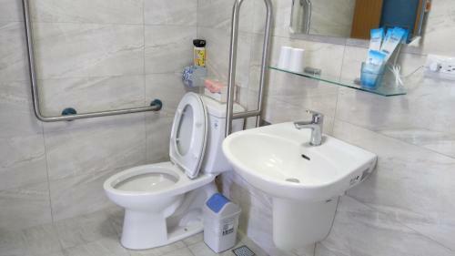 Elder Wheelchair B&B