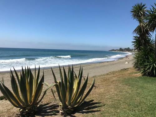 Marbella - Estepona Beach Frontline Apartment