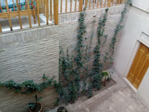 Posada Aist House