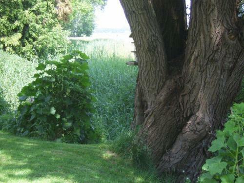 Bed & Breakfast Theaterherberg