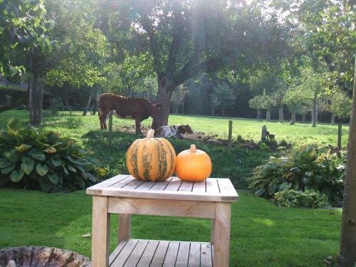 Bed And Breakfast Rodenberg