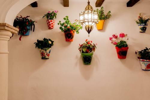 Apartamento Casa Del Patio