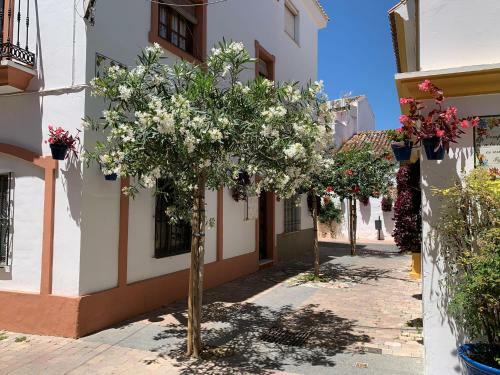 Mi Casita de Pueblo Centro Hist�rico