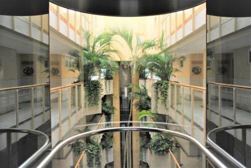 Apartamento El Coral 1 Bed