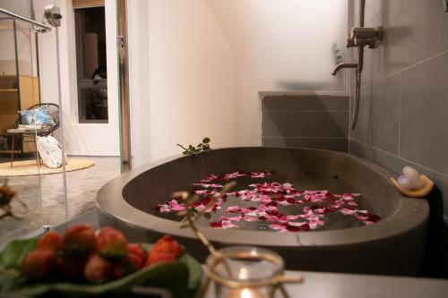 Shanti Wellness Sanctuary