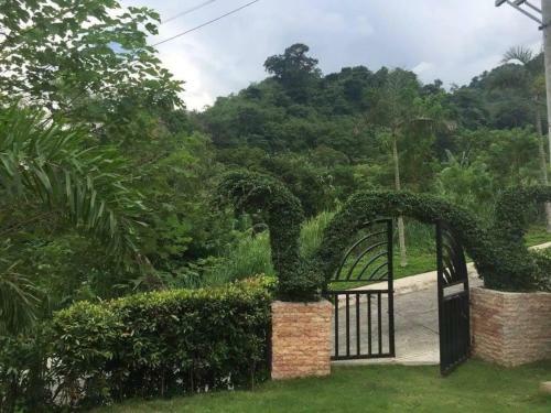 Miju Resort
