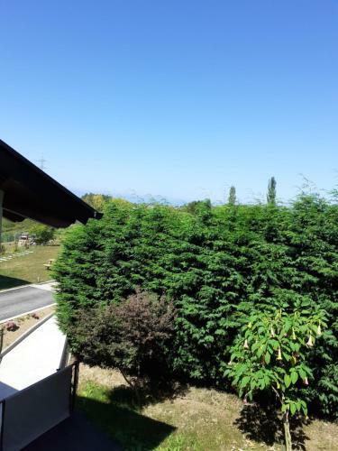Apartamentos Y Casa La Paredana, Agroturismo