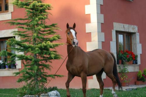Casucas La Guariza (Casa Eva )