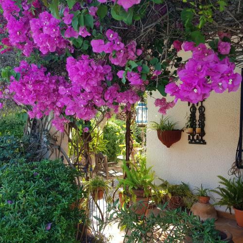 Villa Altea