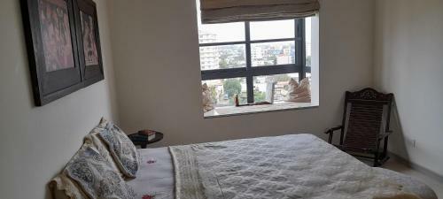 Apartamento Havelock123