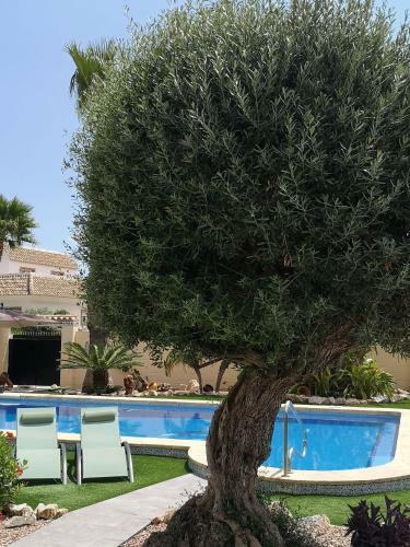 Villa With Serene Mountain Views. Spacious Garden With 10x5m Pool.