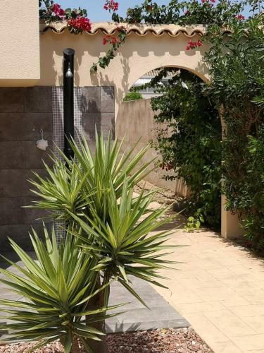 Villa With Serene Mountain Views. Spacious Garden With 10x5m Pool.