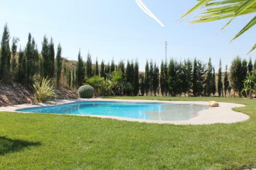 Cuevas Adonia