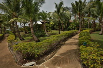 Hotel Wananavu Beach Resort