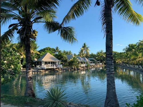 Hotel Musket Cove Island Resort
