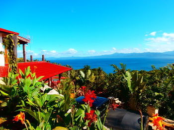 Apartamentos Korovesi Sunshine Villas