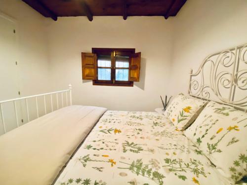 Casa Papiqui