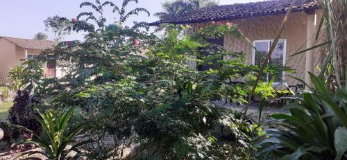 Hotel Tiger Tops Sauraha