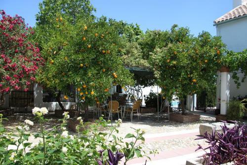 Apartamento Appartement El Balcon ( Cortijo La Cubertilla)