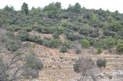Agroturismo Casa Llovet