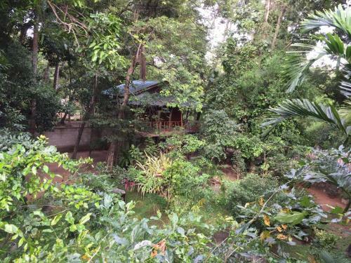 Hotel Dambulla Wilderness World