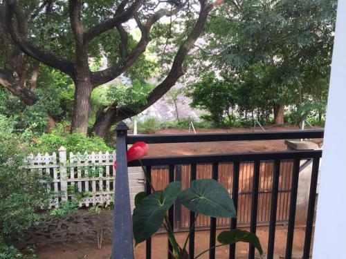Hotel Dambulla Wilderness World