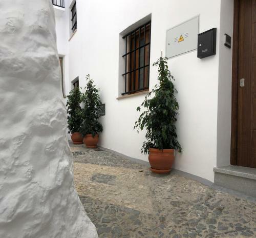 Cerezo's House Terrace & Jacuzzi