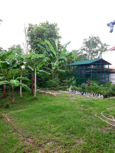 Bu Sur Homestay