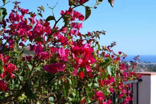 Apartamento El Quinto Pino, Frigiliana