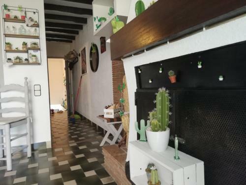 Apartamento Can Cactus Garriguella