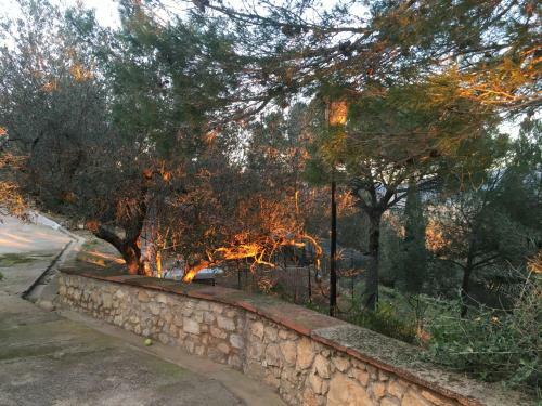 Campo La Carena