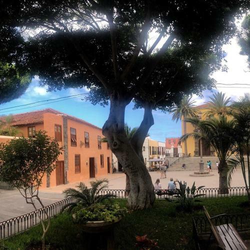 Apartamento Casa Tradicional Canaria
