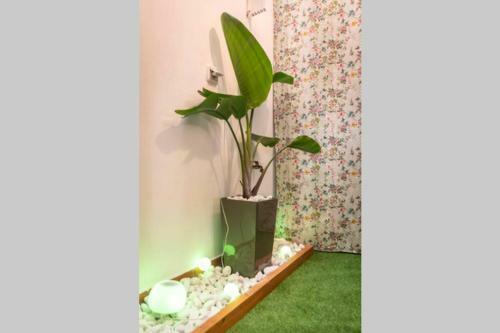 Apartamento Salsalitre Chico