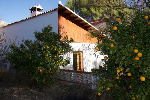 Apartamento Finca So�ada - Nudist Resort