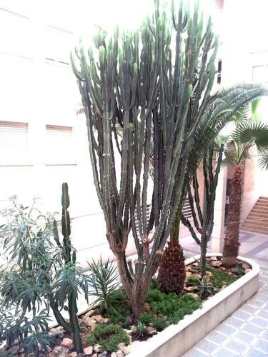 Verarentals - Apartamento Terrazas