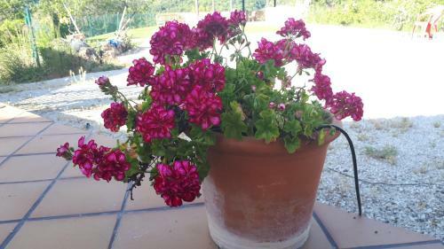Apartamento Villa Evelyn
