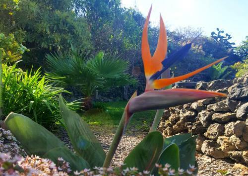 Apartamento Primavera Peqa